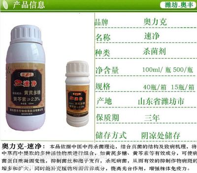專(zhuān)業(yè)解讀草莓炭疽病的防控之道 速凈100ml水劑批發(fā)指南